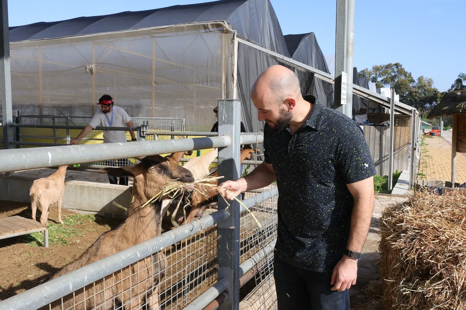 A man feeding a goat through a fence.