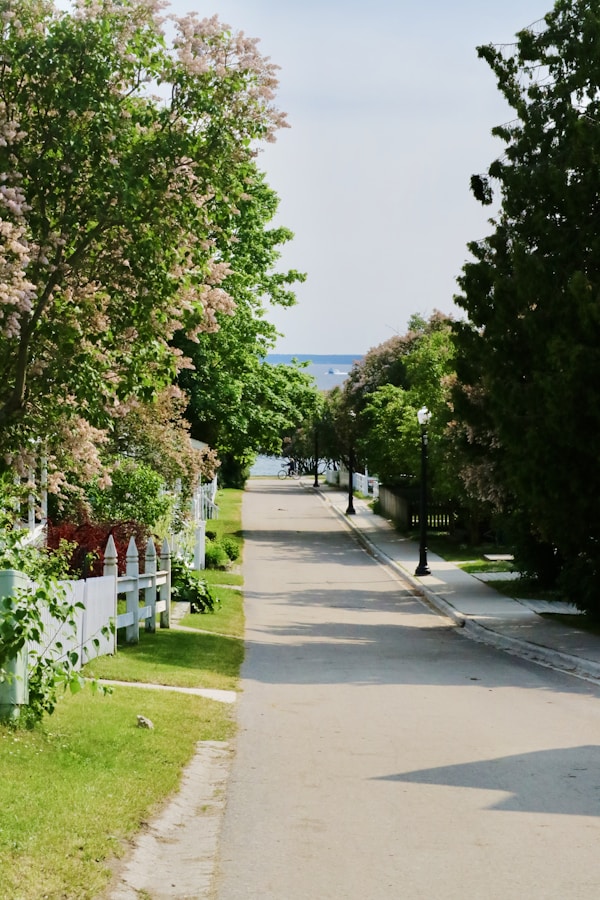 a street lined with lots of trees and flowers