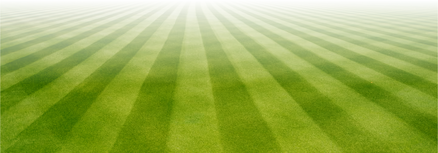 Freshly mowed green lawn