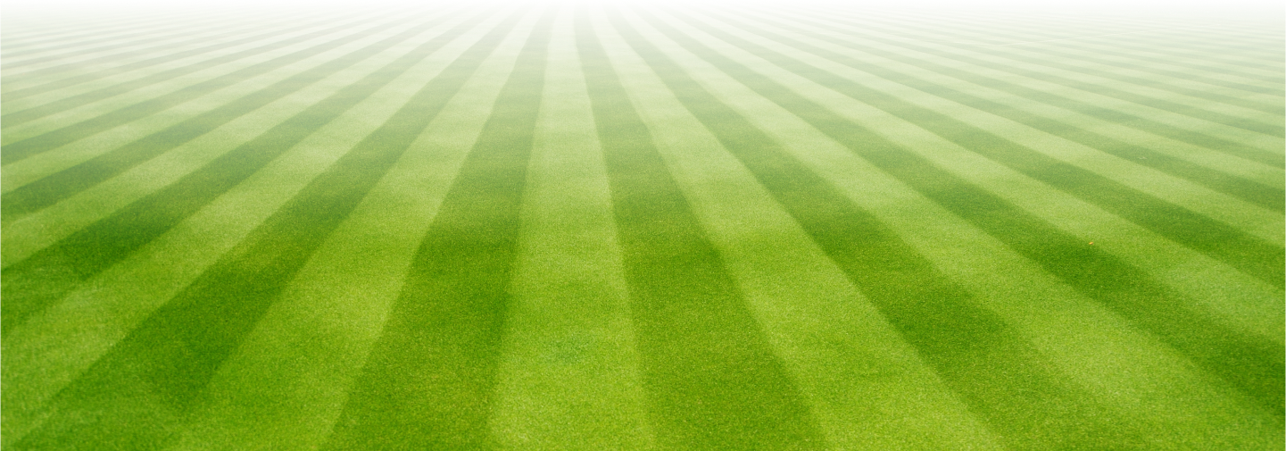 Freshly mowed green lawn