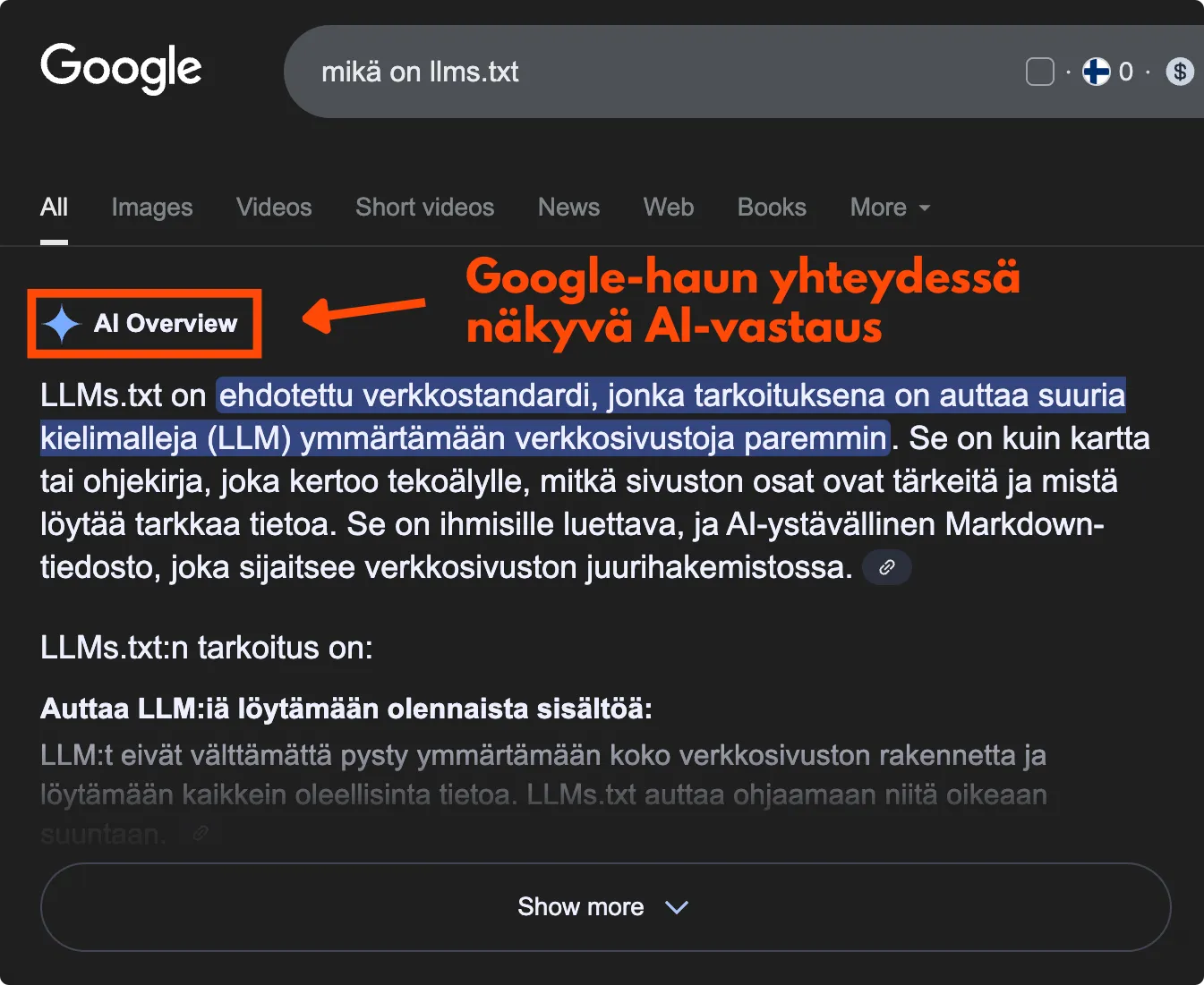 Google AI Overview esimerkki