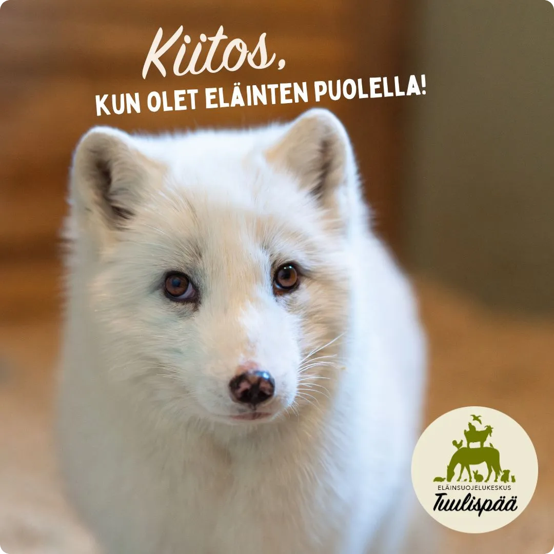 Tuulispään Lumi-naali: Kiitos kun olet eläinten puolella.