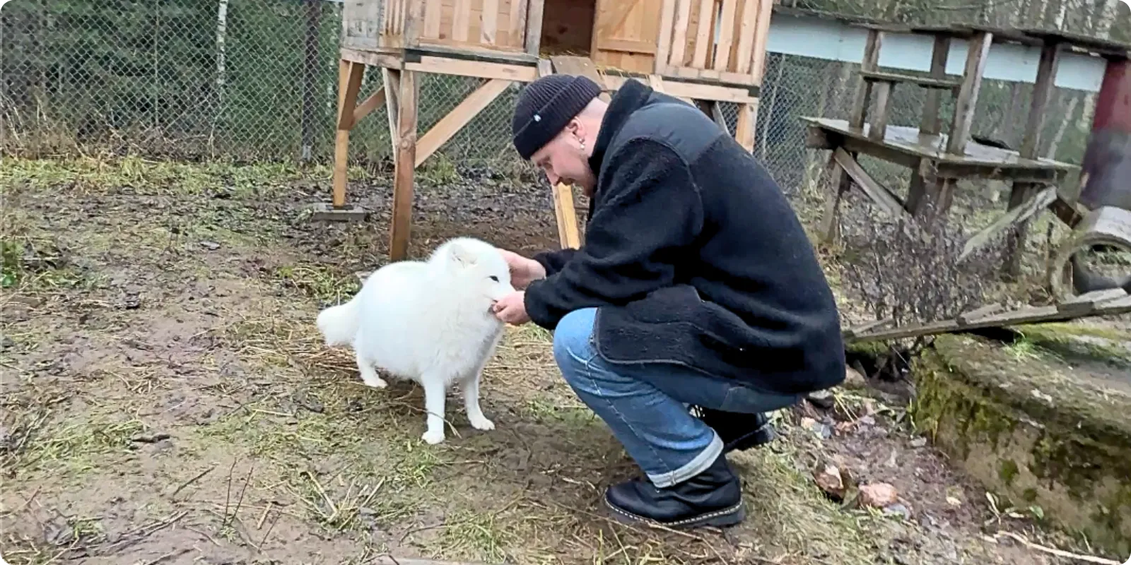 Digiverstaan Aatu ruokkimassa kummikettu Lumia Tuulispäällä.