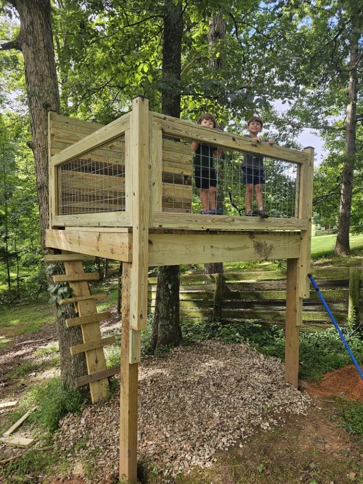 Two children standing on a wooden treehouse platform with a wire railing, surrounded by trees in a backyard.