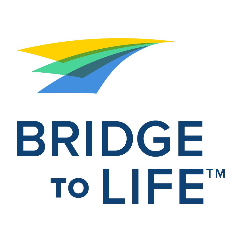 Bridge to Life 