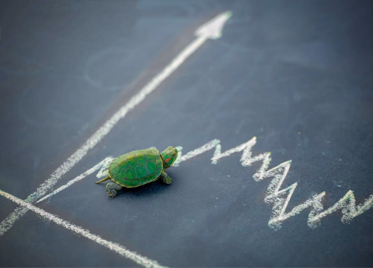 A turtle on a chalkboard depicting a rising price line graph.