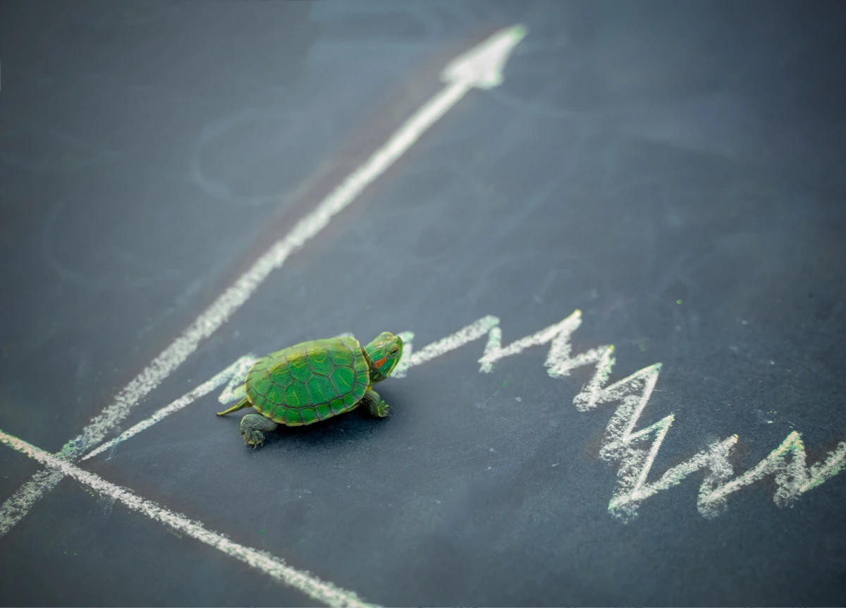 A turtle on a chalkboard depicting a rising price line graph.