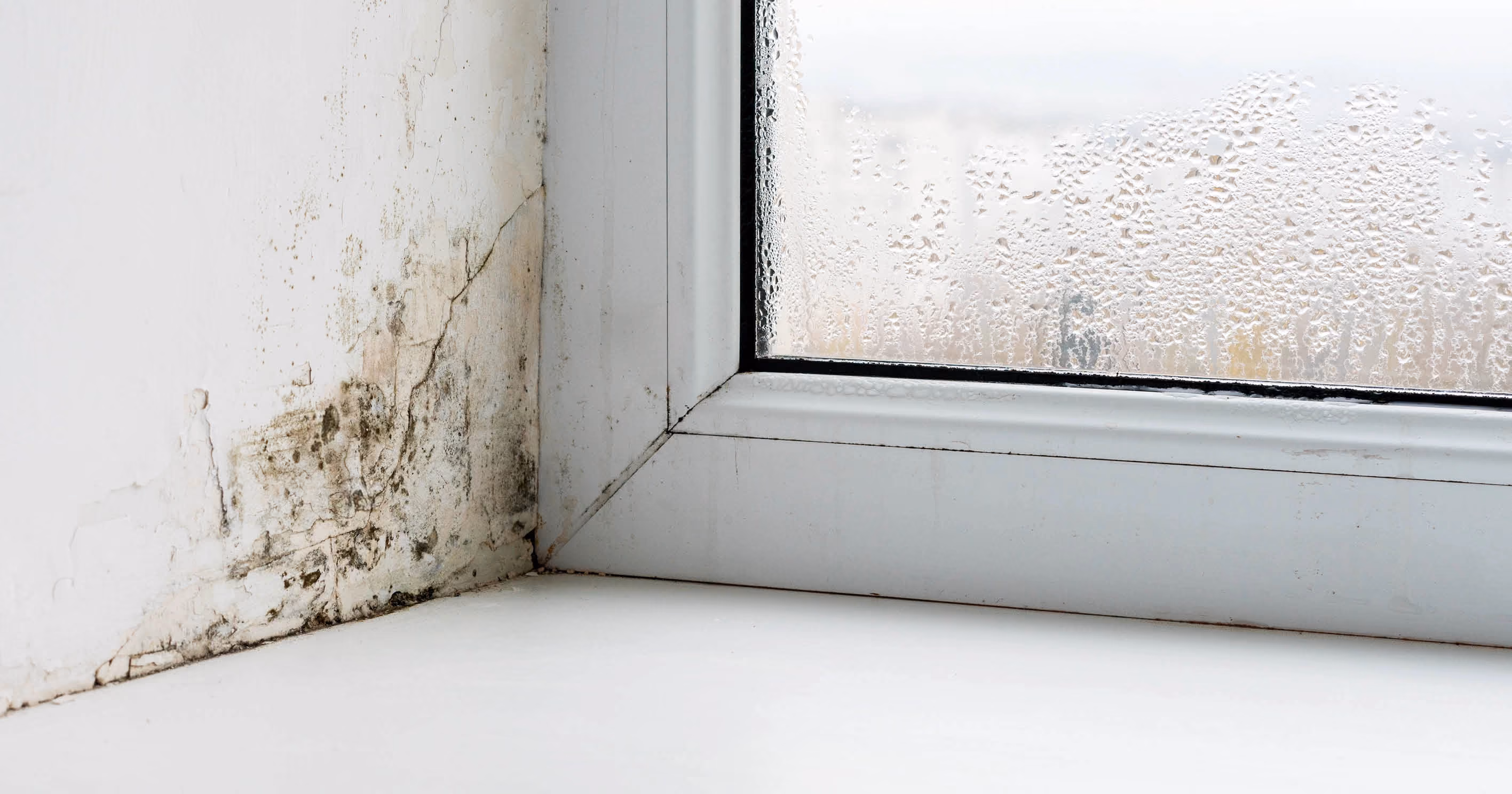 Black mould around a window