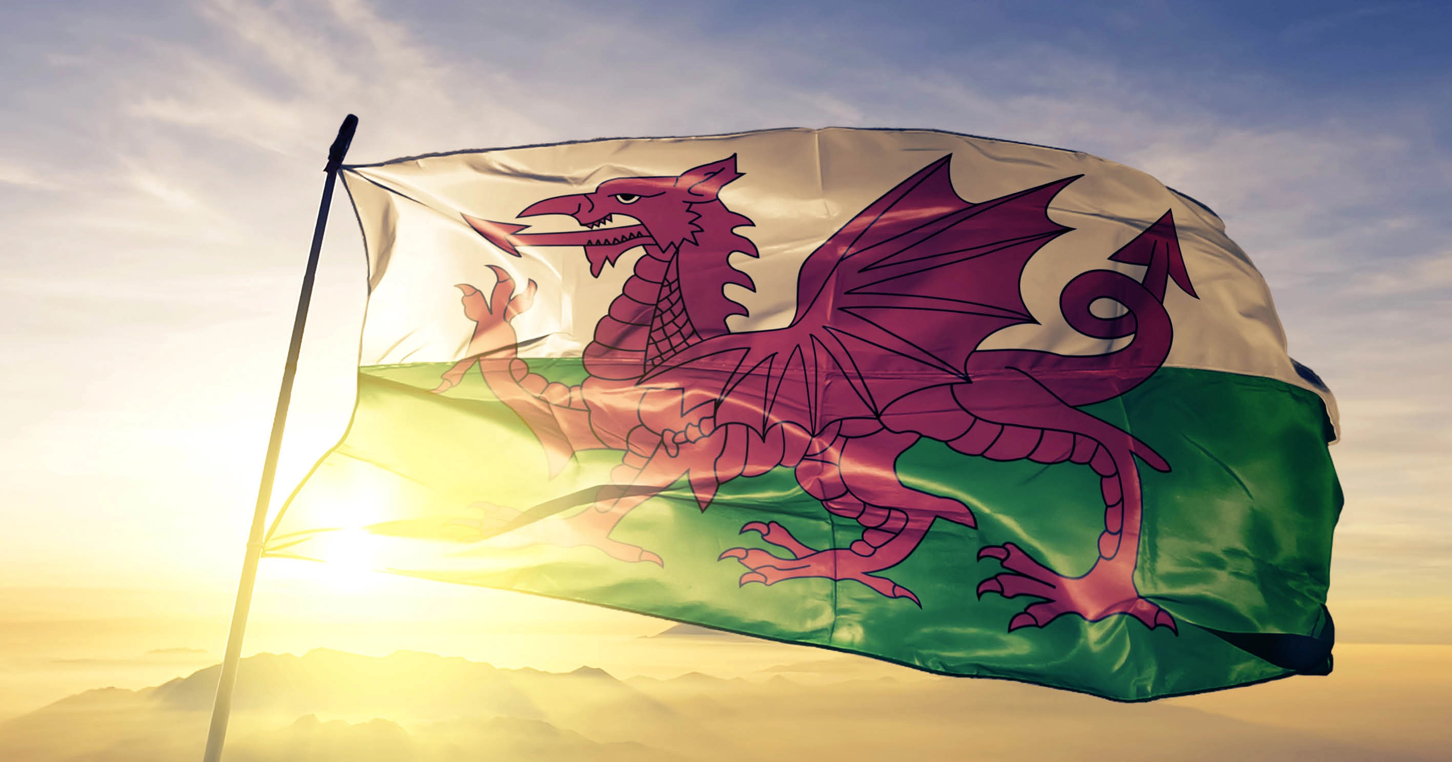 The Welsh flag