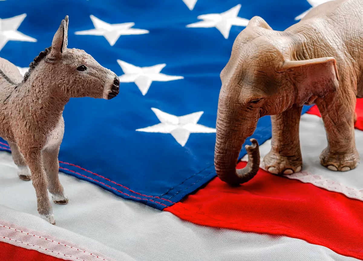 Donkey and elephant in front of American flag