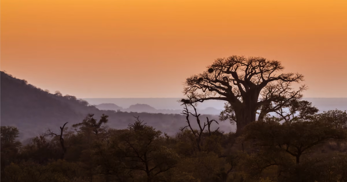 Inside Limpopo's rental boom