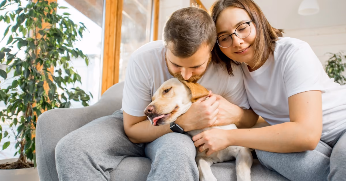The letting agent’s guide to pet requests