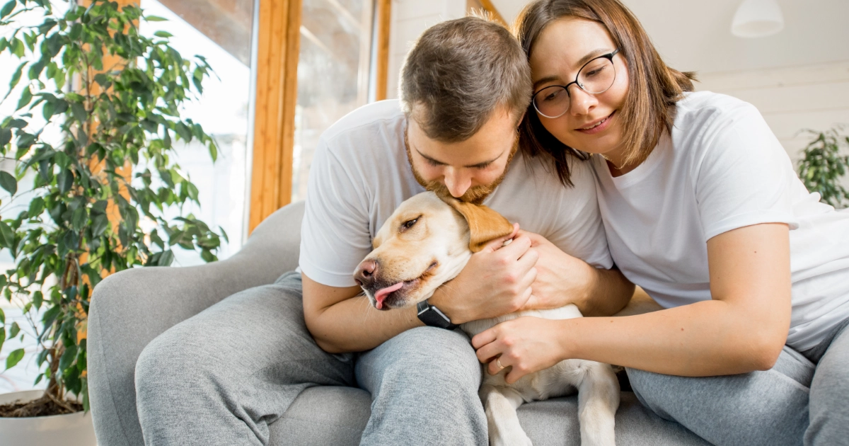 The letting agent’s guide to pet requests