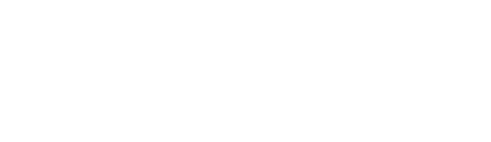 Exo Holo Logo