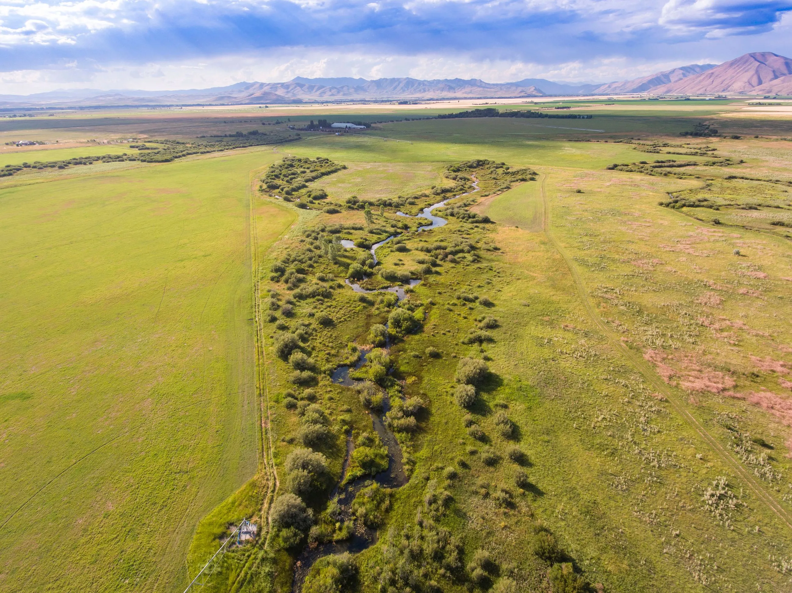 beautiful stream from drone