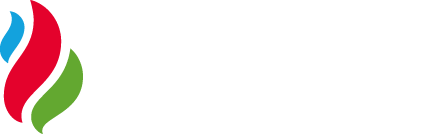 The Paak logo