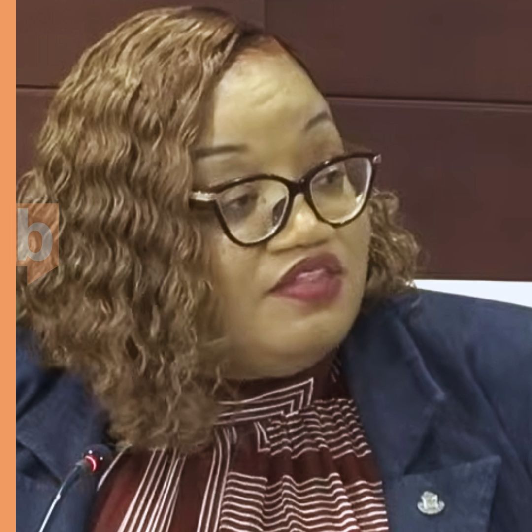 Gumbs presents 2026 budget  as roadmap for fiscal discipline