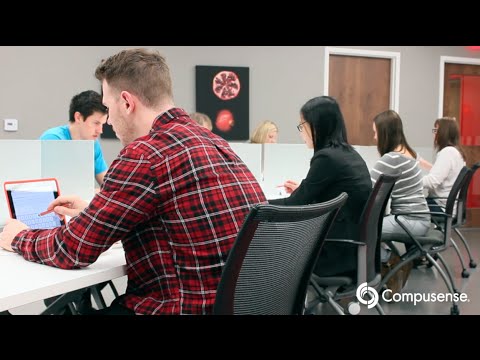 Making Sense of: Descriptive Analysis