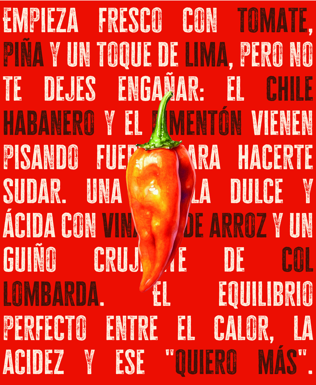 Familia gráfica Maxi's Fire Brand — branding y packaging por Indigo Estudio Mallorca