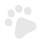 panja