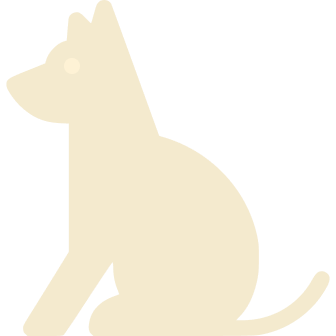 cat-img1