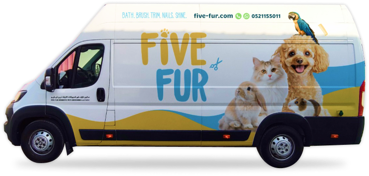 Pet grooming setup inside mobile van with safe equipment