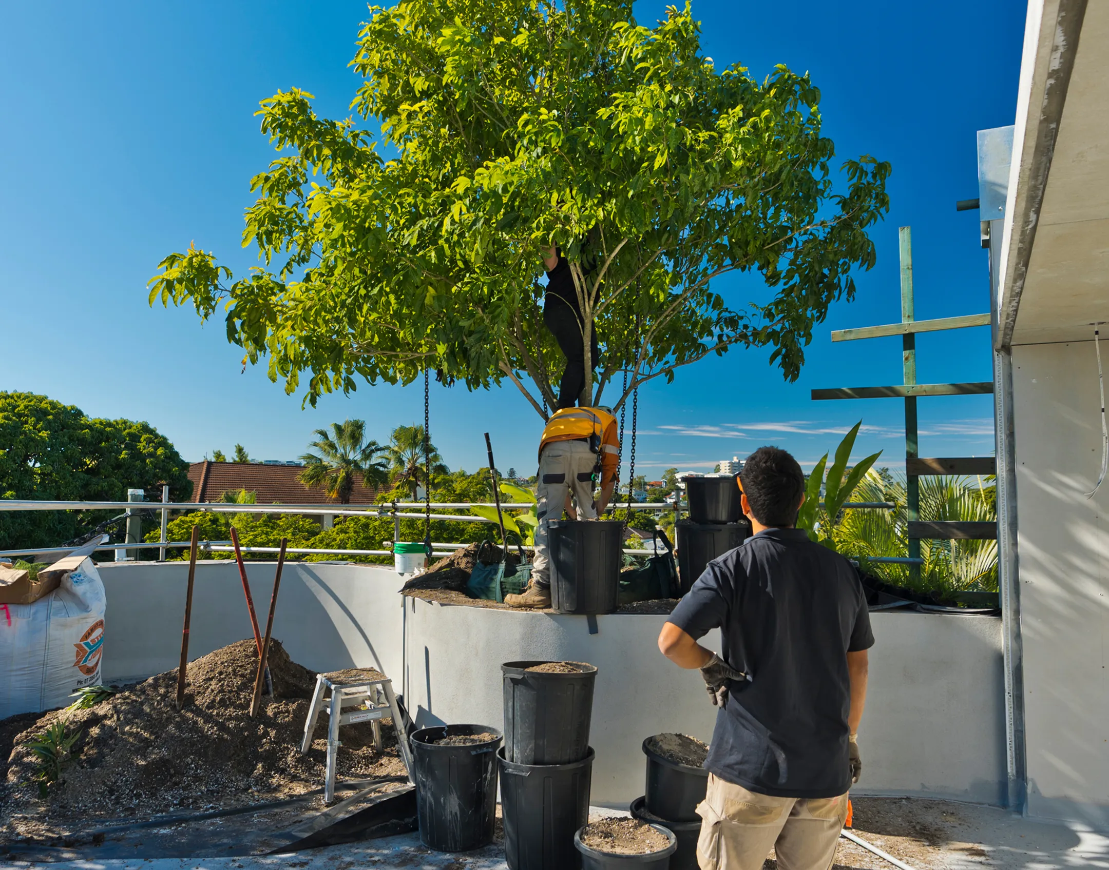 A beautiful pic of man while he is staring at the tree.