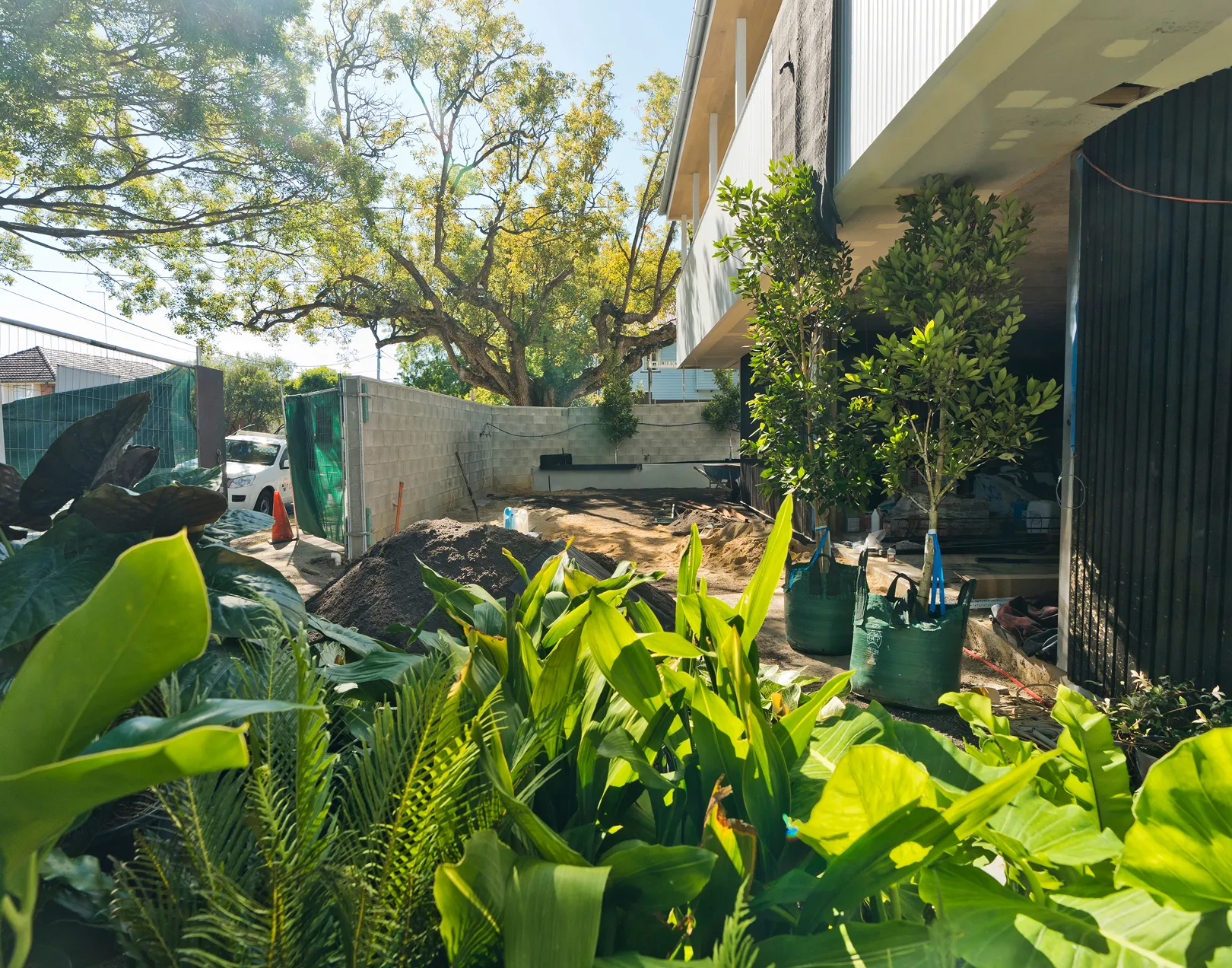 A beautiful view of a housel with full of beautiful small flowers.