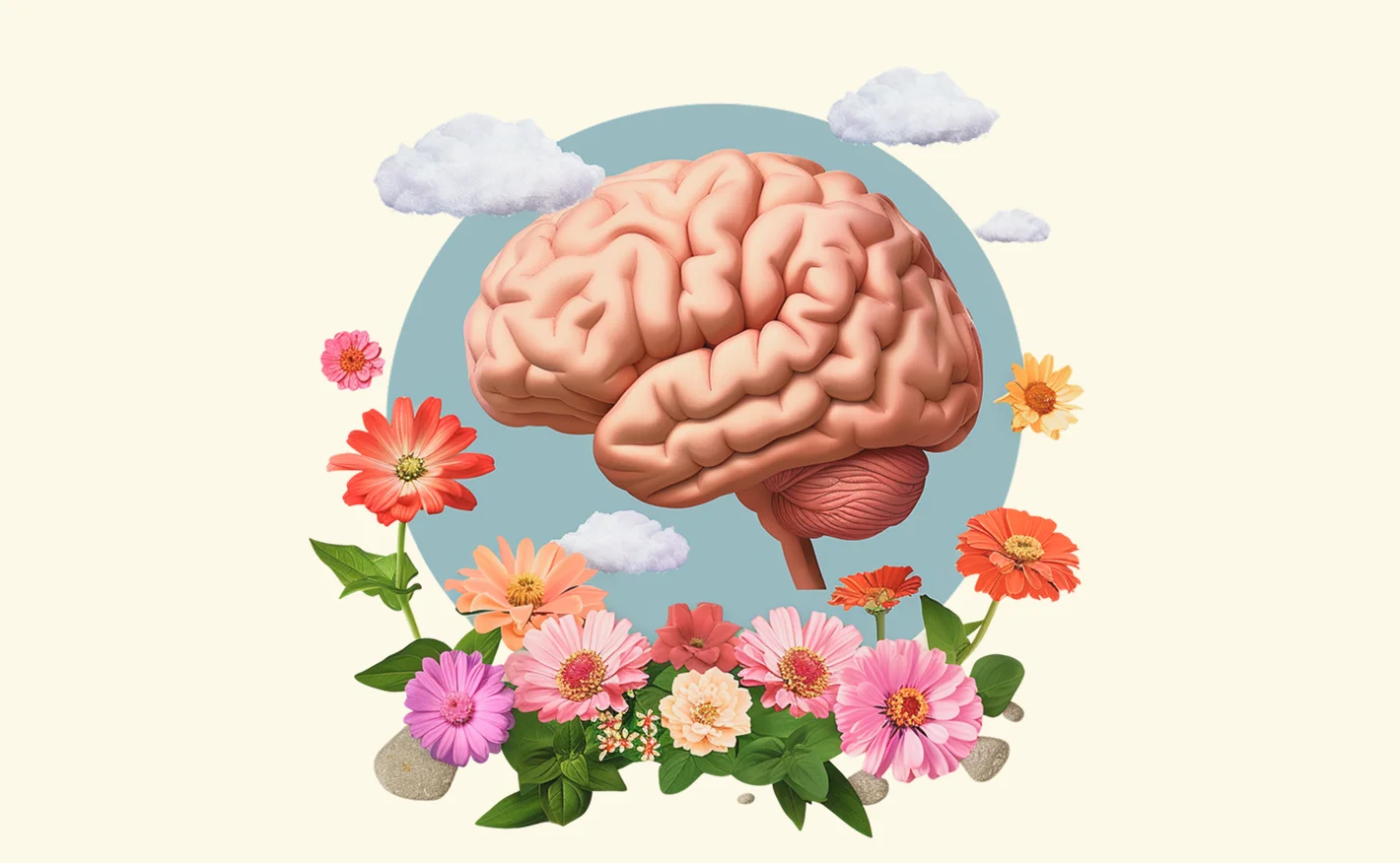 How to Reset Your Brain