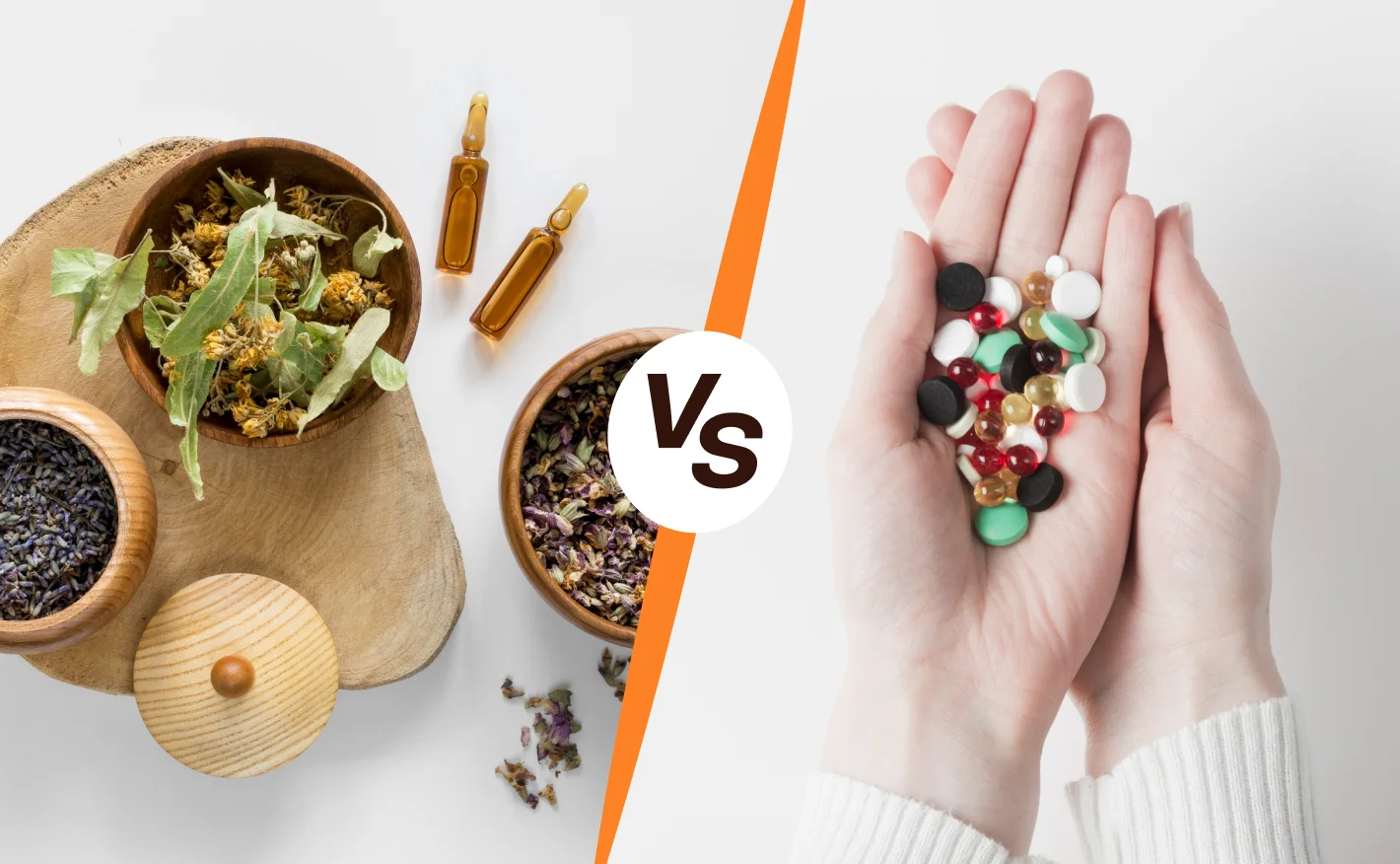 Adaptogens vs Nootropics