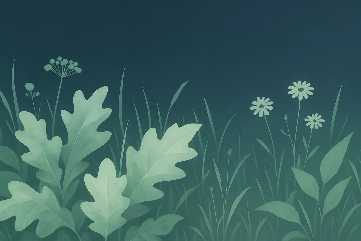 HAUSER engagiert sich sozial. Mit Veranstaltungen für Kinder und dem Kinderbuch Kalle PIEP möchten wir zeigen, dass auch kleine Taten große Wirkung haben können.