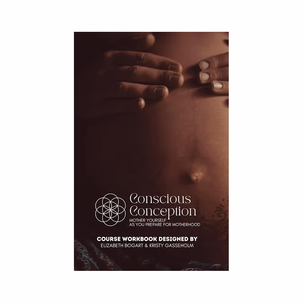 Conscious Conception Workbook