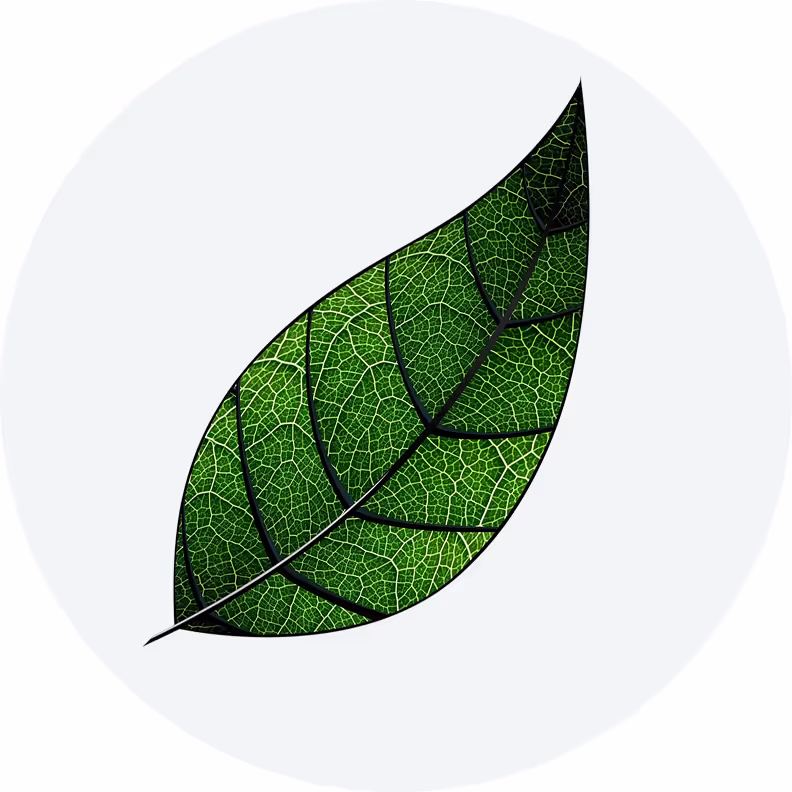 Two Holy Technologies team members conduct a digital component simulation