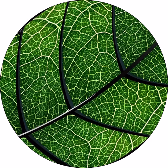 Two Holy Technologies team members conduct a digital component simulation