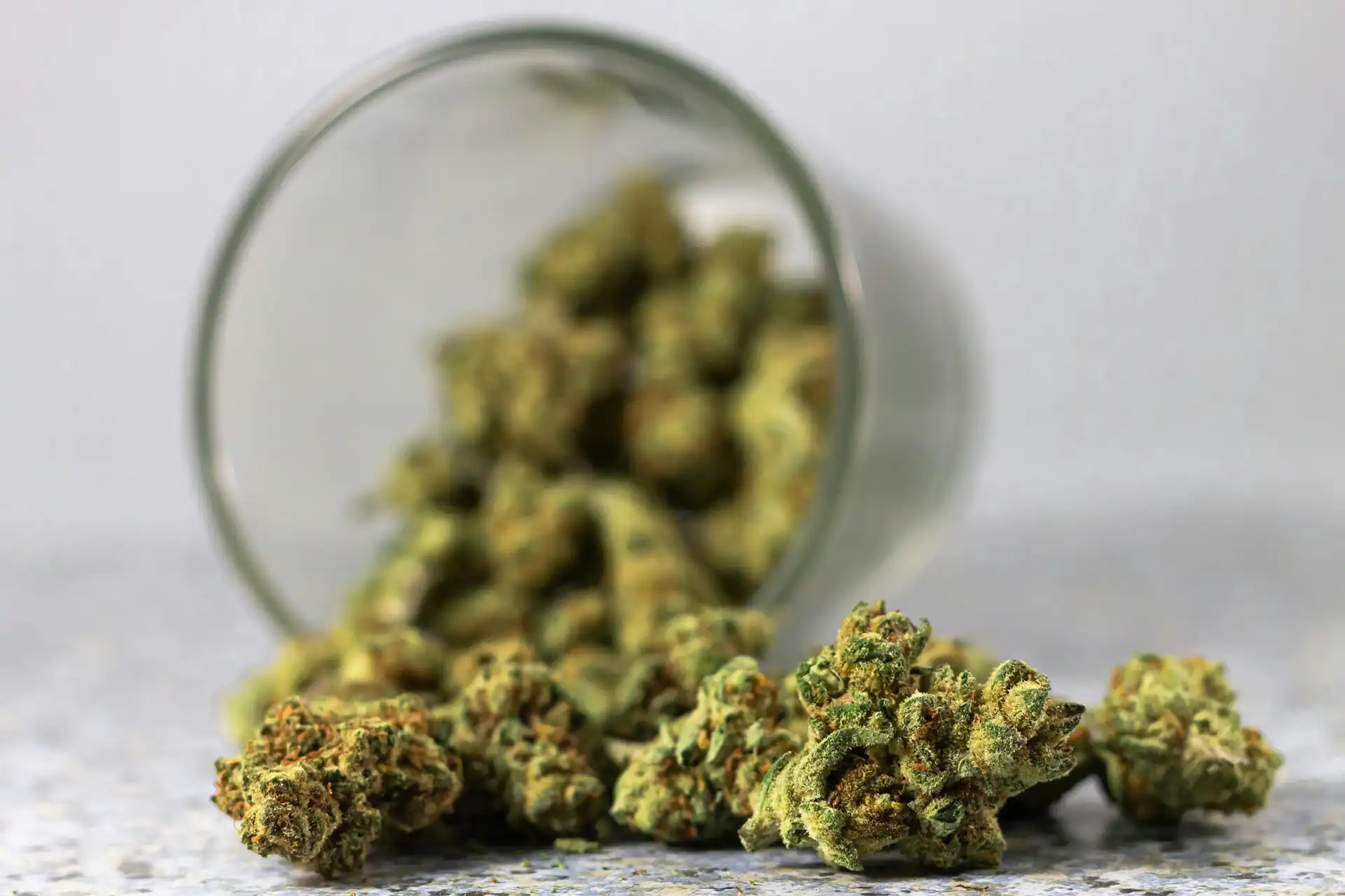 Medical cannabis buds on a table, having fallen out of their container