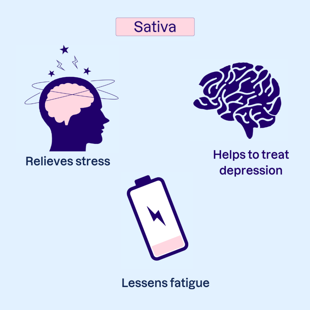 Sativa benefits infographic - Relives stress, helps to treat depression, and lessens fatigue