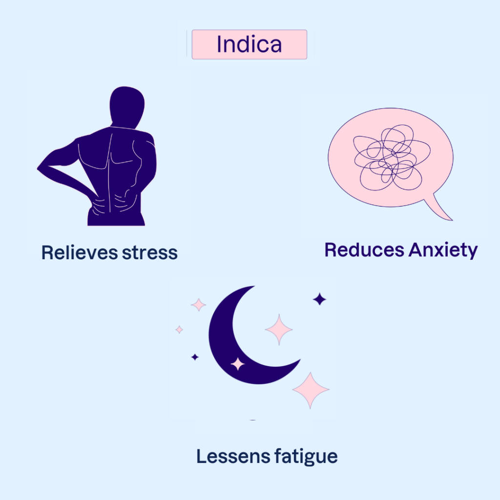 Indica benefits infographic - Relieves stress, reduces anxiety, and lessens fatigue