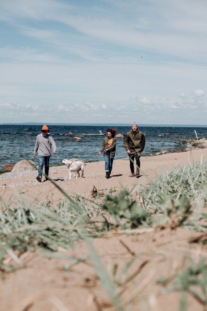 Three people walking a dog on the beach