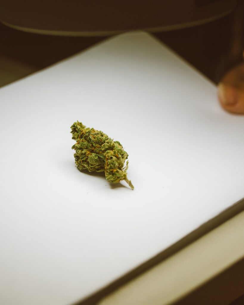 A cannabis bud on a board