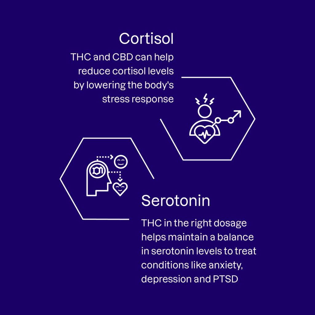 Cortisol and Serotonin infographic