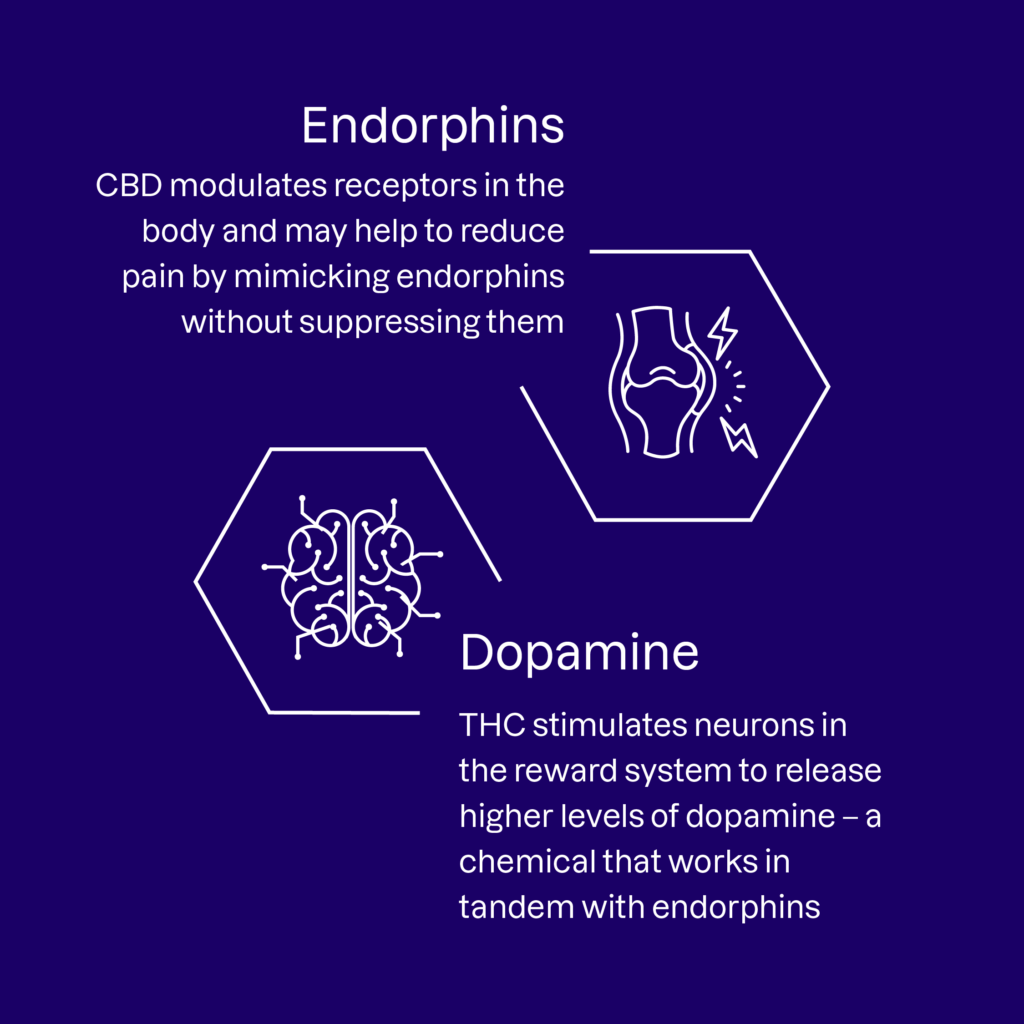 Endorphins and Dopamine infographic