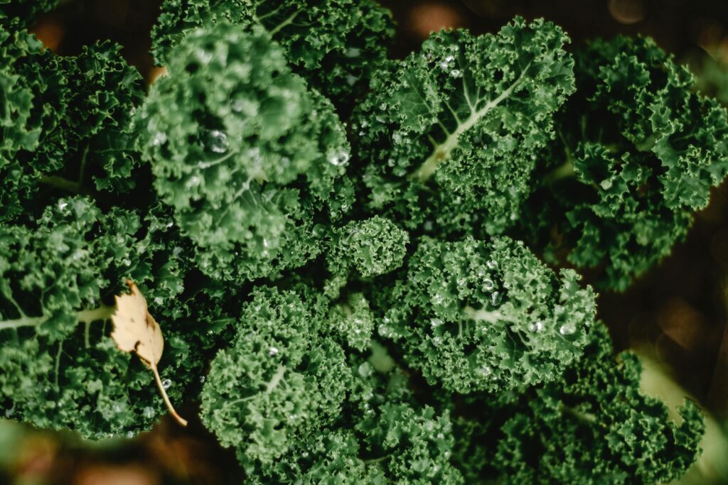 Flavonoids - Kale