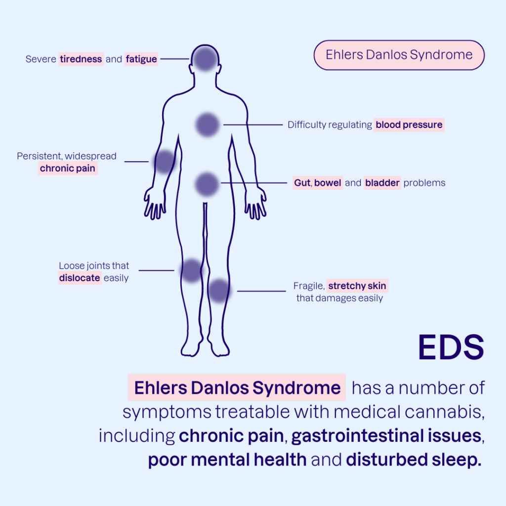 Ehlers-Danlos Syndrome infographic, showing the various symptoms (e.g. chronic pain, gut problems, etc) that are treatable with medical cannabis
