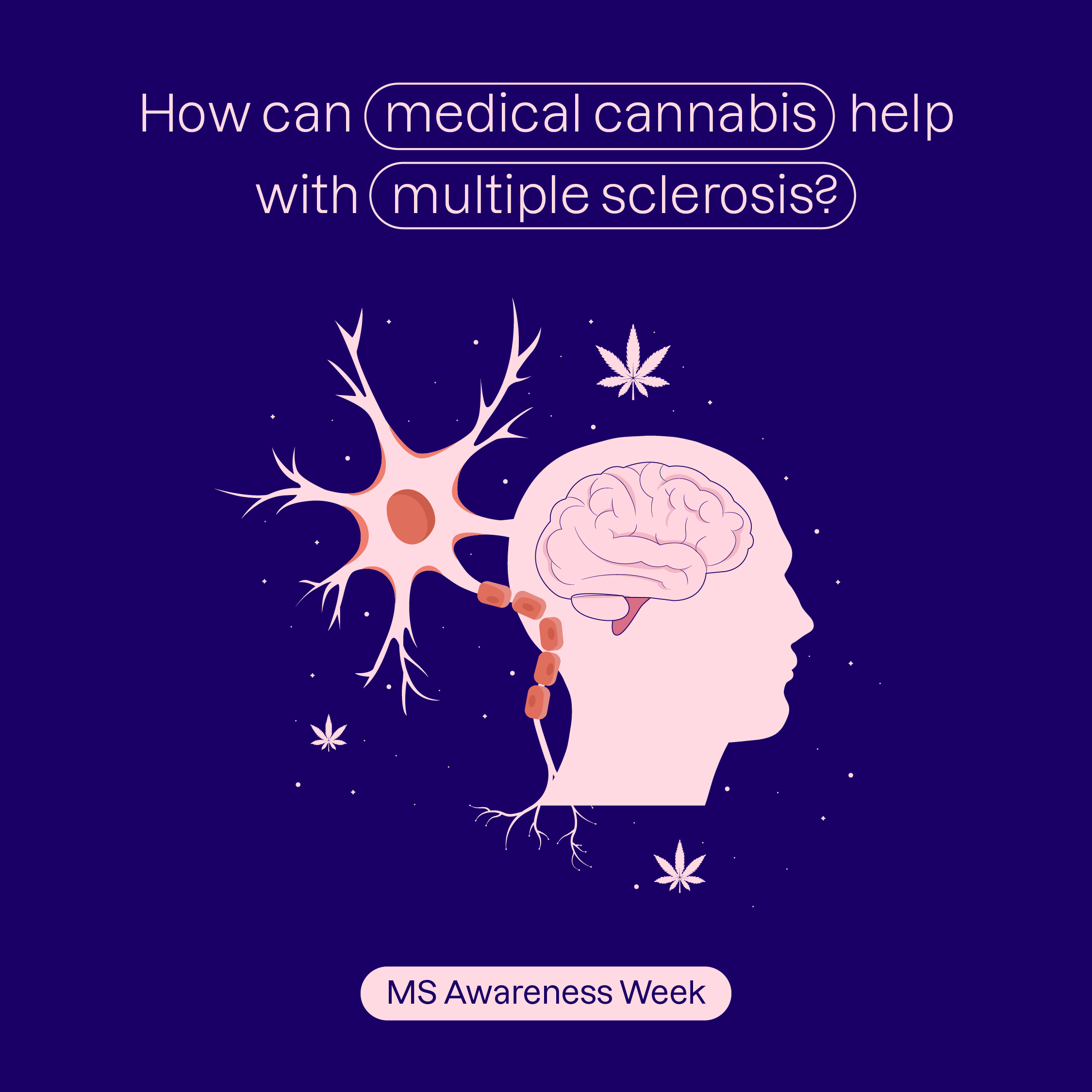 MS & Chronic pain image, containing a stylised outline of a person, their brain, and neurons