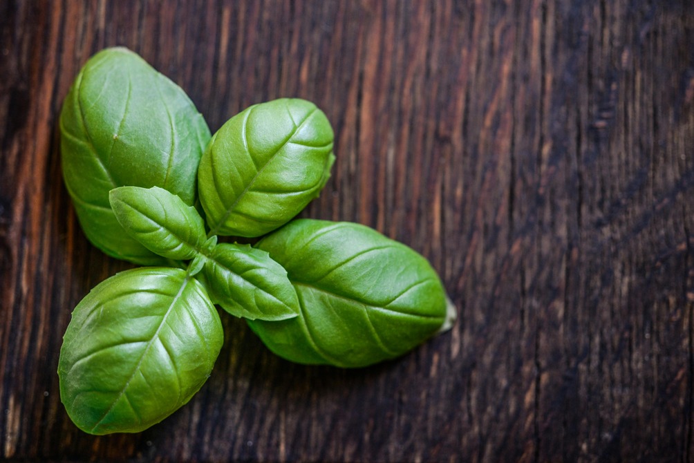 Basil leaves, which also contain ocimene