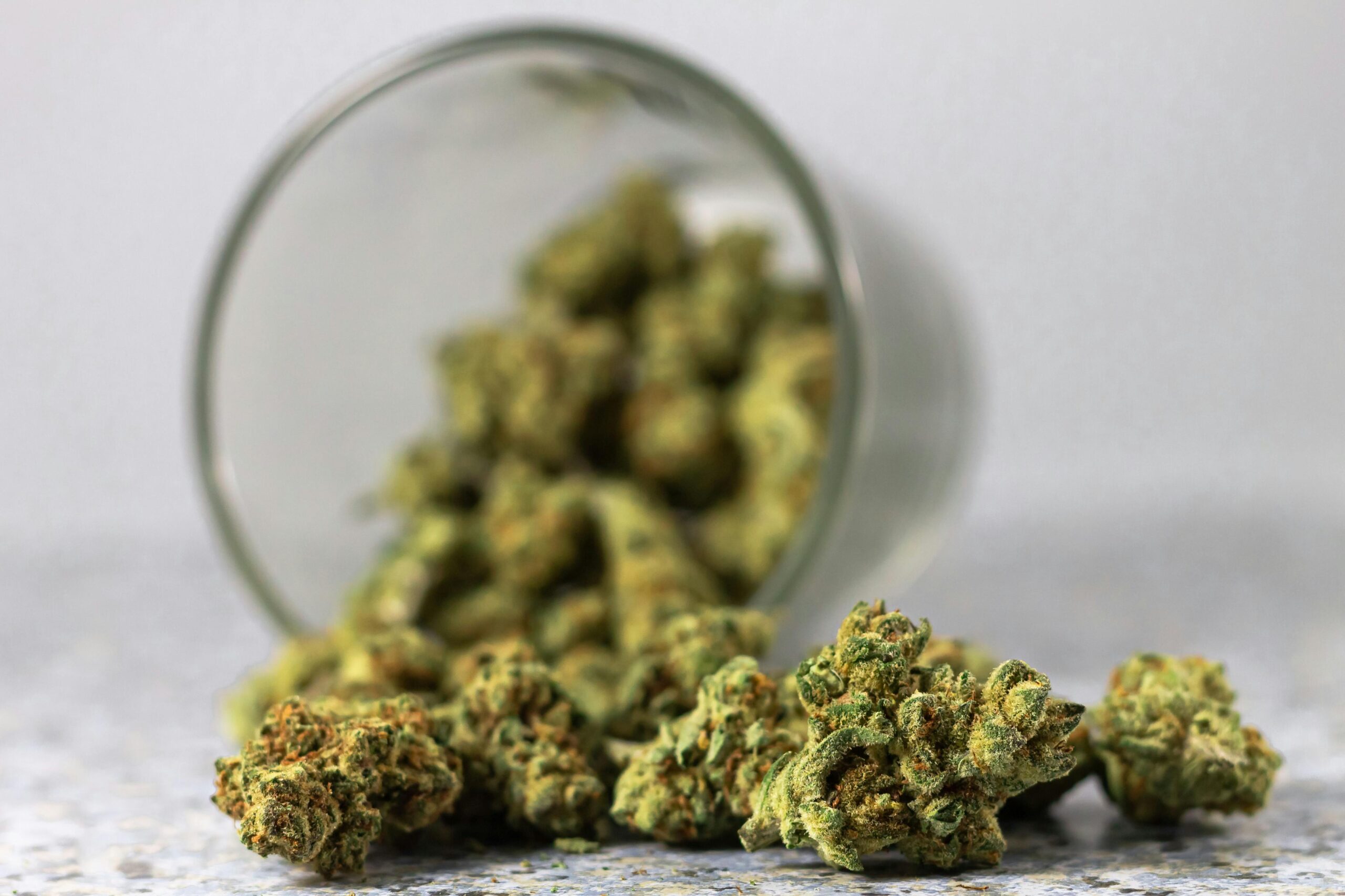A pot of cannabis buds