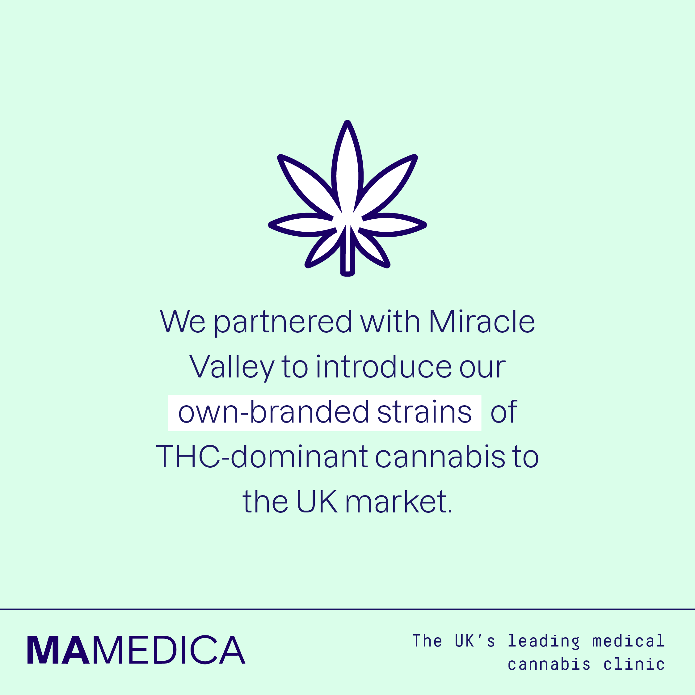 We partnered with Miracle Valley to introduce our own-branded strains of THC-dominant cannabis to the UK market.
