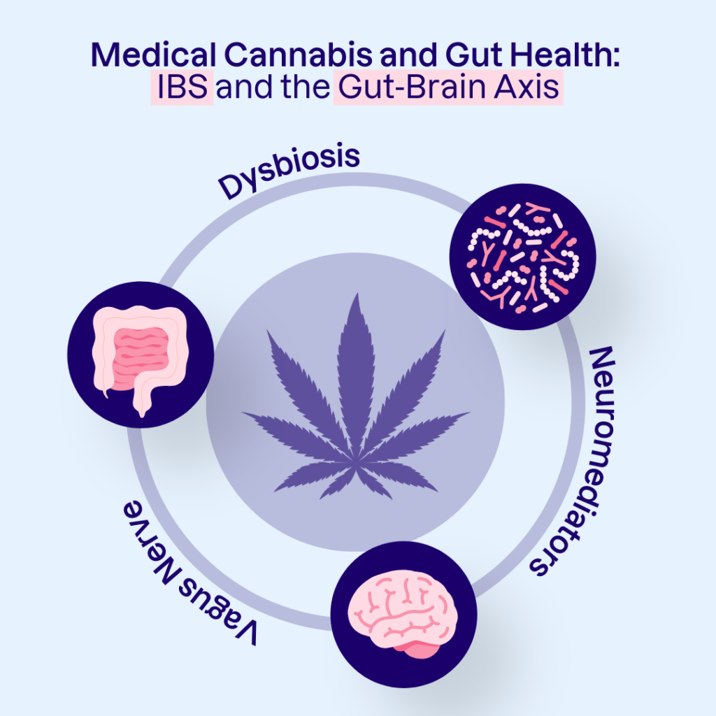 Gut Brain Axis and IBS infographic