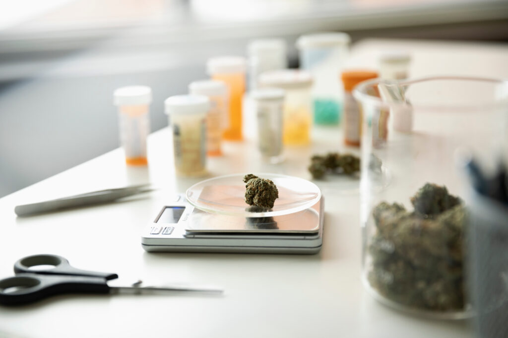 Medical cannabis being measured for prescriptions in a pharmaceutical lab