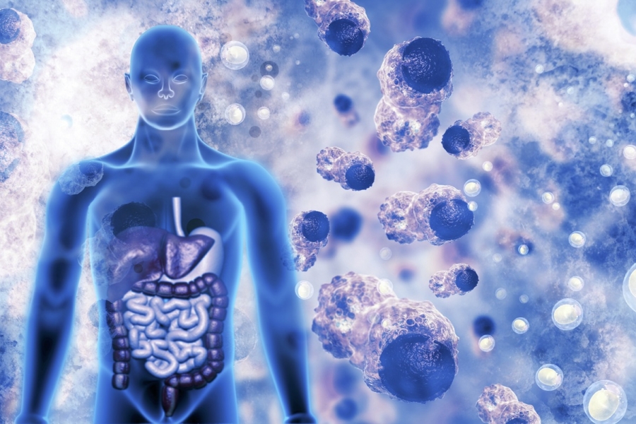 A stylised image of the body's immune system